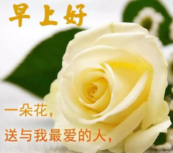 情侣早安图片问候图片大全 情侣早安问候语图片