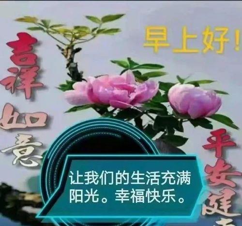 情侣早安图片问候图片大全 情侣早安问候语图片