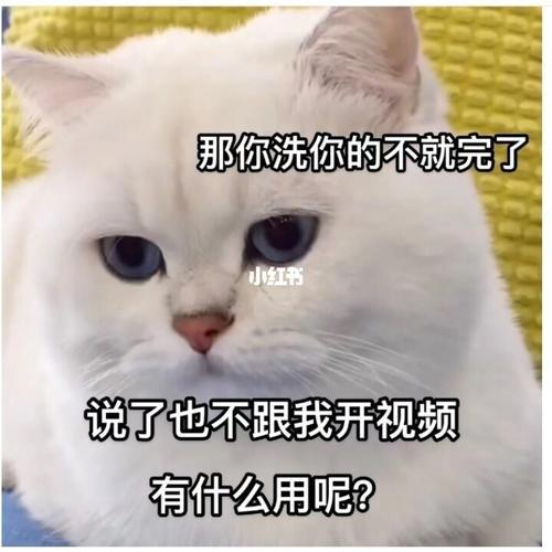 情侣聊天表情图 情侣聊天必备表情包动态图像