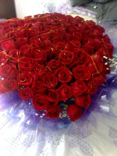 情侣玫瑰花图片 玫瑰花浪漫图片