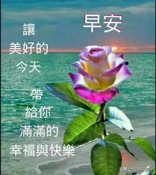 情侣早安情话最暖心短句图片 情侣早安暖心话简短