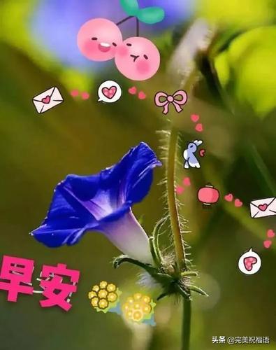 情侣早安情话最暖心短句图片 情侣早安暖心话简短