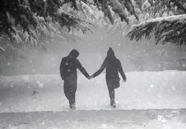 下雪天情侣牵手走图片 下雪情侣牵手浪漫图