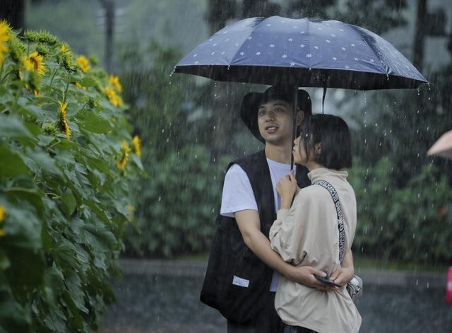 情侣雨中撑伞的图片 雨天伞下的情侣图片