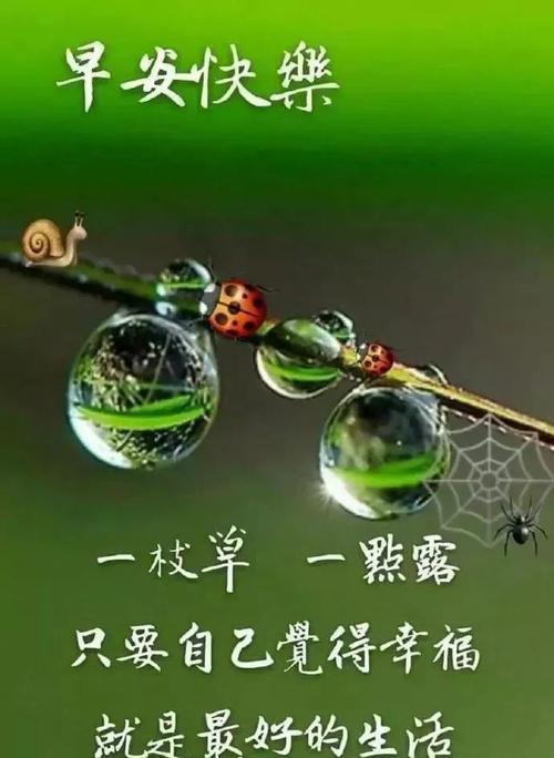 情侣问候早安的图片 情侣间思念的早安图片大全