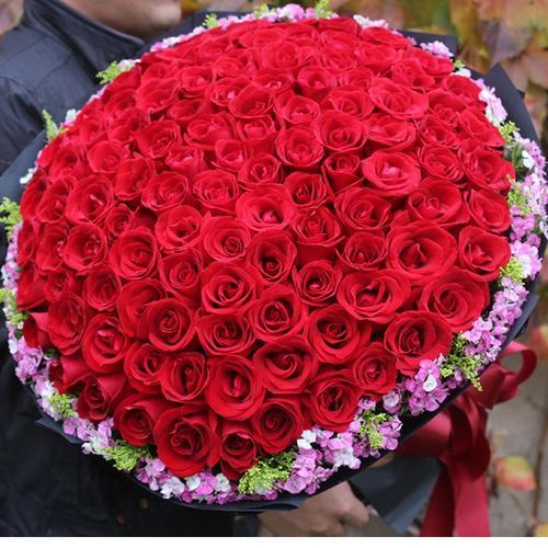 玫瑰花情侣图片大全 浪漫玫瑰花图片大全