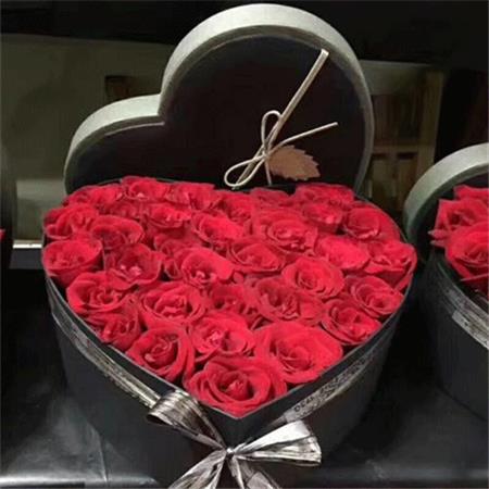 玫瑰花情侣图片大全 浪漫玫瑰花图片大全