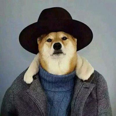 猫狗情侣图片 猫咪情侣图