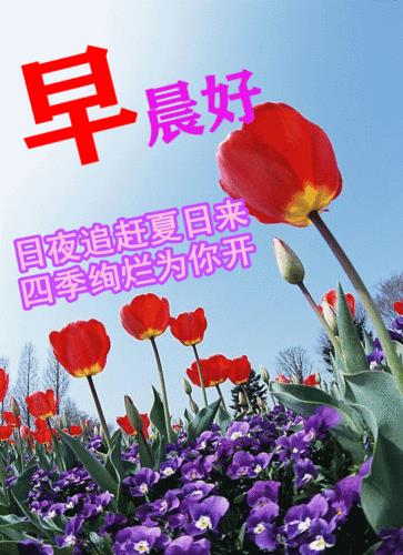 情侣问候早上好图片 情侣之间的早上问候语唯美图片