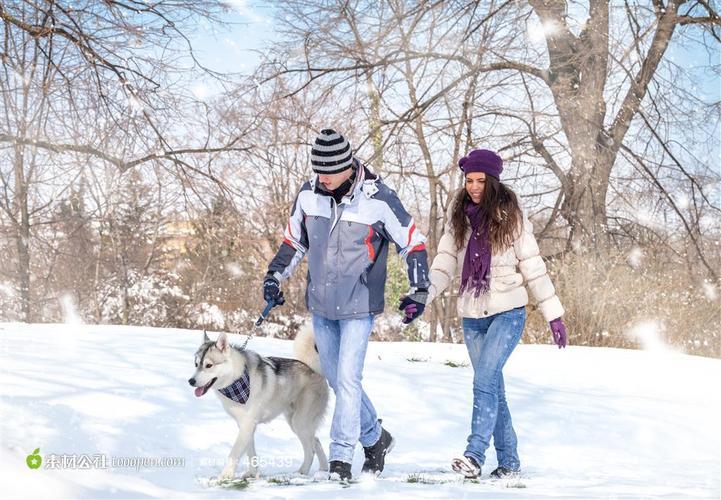 雪地情侣图片 情侣在雪地牵手图片