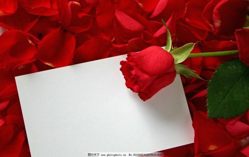 情侣花图片 情侣图片