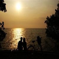 情侣看日落背影图片 情侣一起看日落的图片