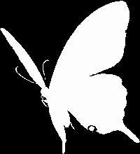 炫舞戒指情侣透明图 炫舞透明图情侣装