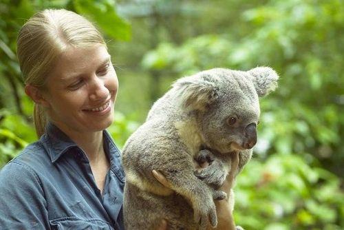 情侣考拉式拥抱图片 情侣之间的考拉抱图片