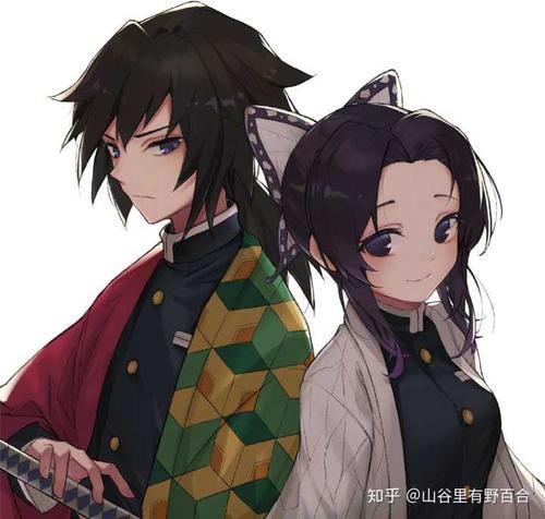 蝴蝶忍义勇情侣图片 富冈义勇和蝴蝶忍情头