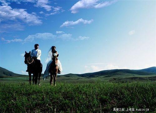 草原情侣图片 情侣在草地上的图片