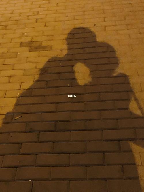 夜晚情侣牵手影子图片 夜晚情侣拥抱影子图片