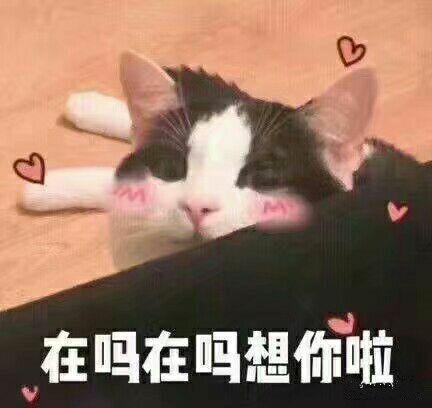 情侣表情图 情侣表情头像图片