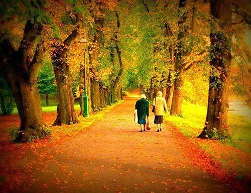 浪漫的图片大全情侣 浪漫的图片背景图情侣