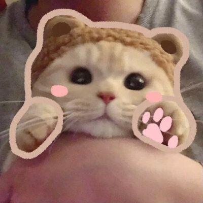 情侣猫图片一男一女 情侣图片一对可爱