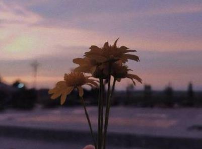 情侣说说配图 情侣说说带图片