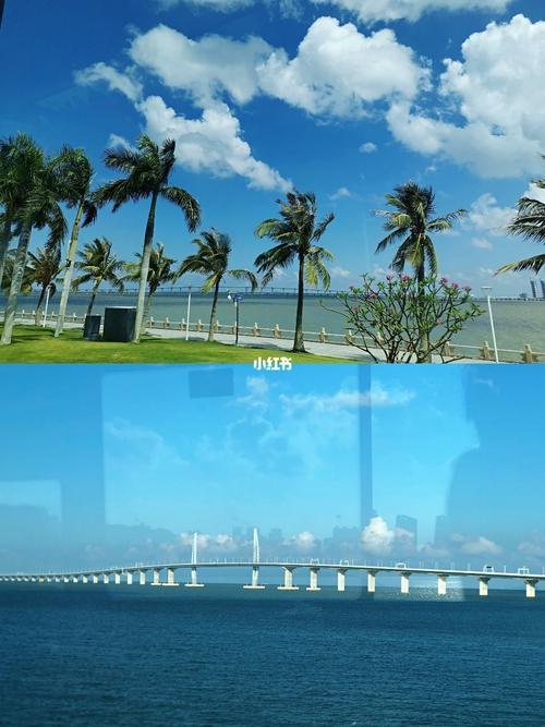 珠海情侣路图片 珠海情侣路介绍