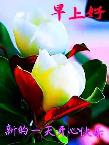 情侣早上好图片 情侣早上好图片大全最美