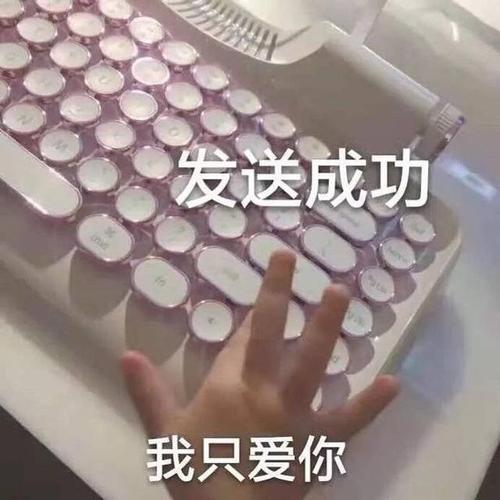 情侣斗图 情侣搞笑斗图图片大全
