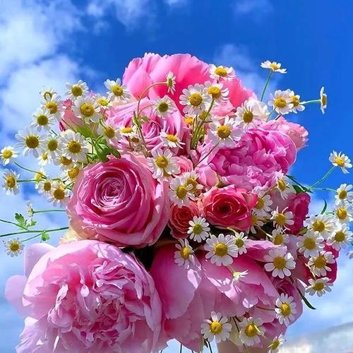 微信头像用什么好 微信头像用什么比较好