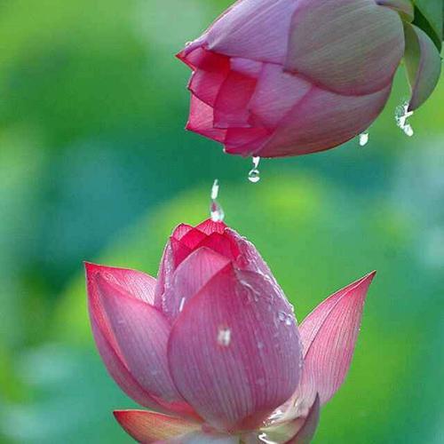 微信头像用什么好 微信头像用什么比较好