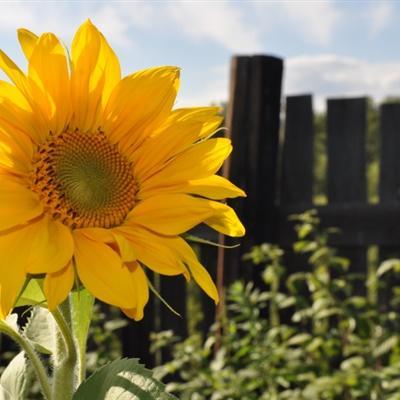 微信头像用什么好 微信头像用什么比较好