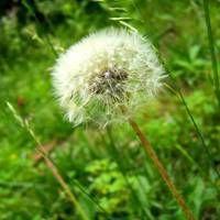 适合做头像的漂亮的图片 有什么图片好看的做头像