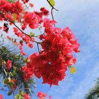 适合做头像的漂亮的图片 有什么图片好看的做头像