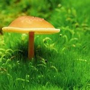 适合做头像的漂亮的图片 有什么图片好看的做头像