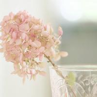 适合做头像的漂亮的图片 有什么图片好看的做头像