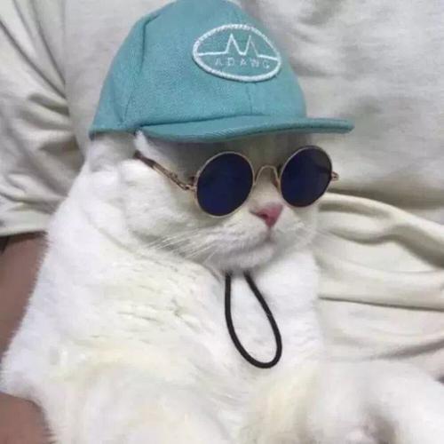 搞笑沙雕头像 搞笑的沙雕头像