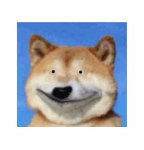 搞笑沙雕头像 搞笑的沙雕头像