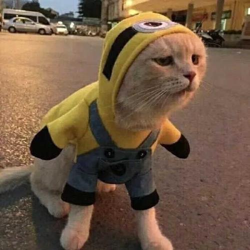 很火的搞怪头像 搞怪头像图片大全