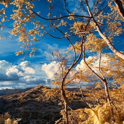 头像图片2022风景 微信头像图片2022风景图片