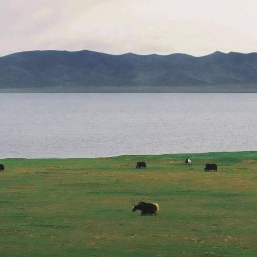 山水风景头像 山水风景头像图片大全微信