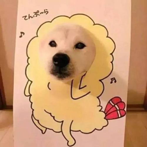 沙雕头像图片 头像图片搞笑沙雕