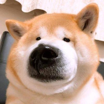 微信头像沙雕 微信头像沙雕图片2022最新款