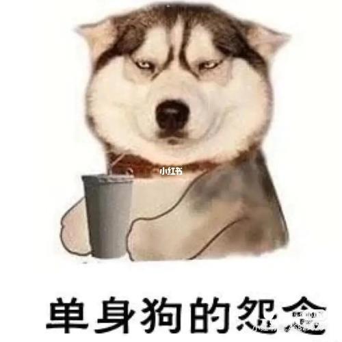 单身狗专用头像 单身狗个性头像