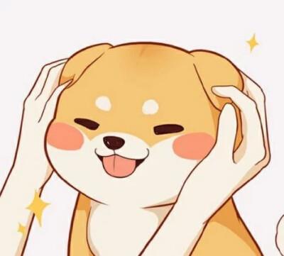 单身狗专用头像 单身狗个性头像