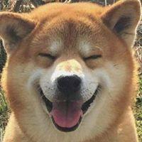 单身狗专用头像 单身狗个性头像