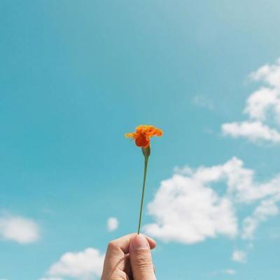 唯美微信头像 2022唯美微信头像图片