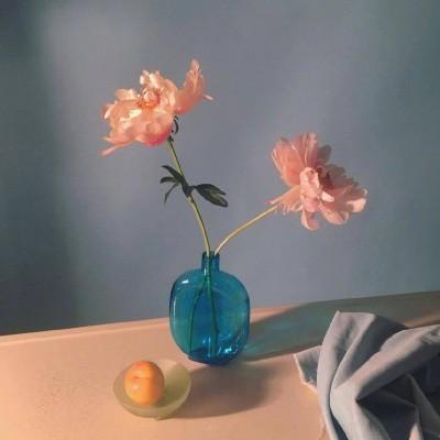 唯美微信头像 2022唯美微信头像图片