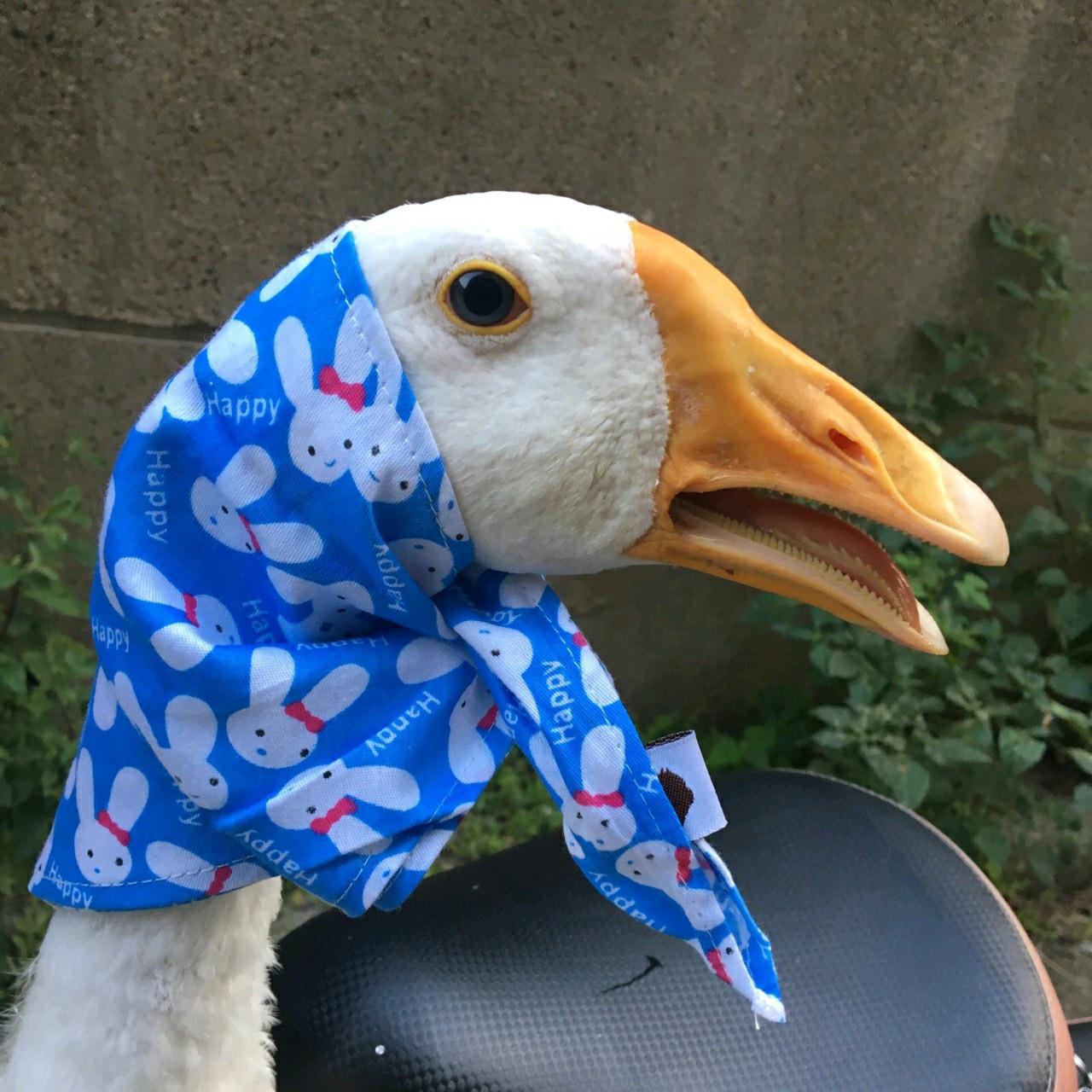 2022年新款个性情侣头像2张一对