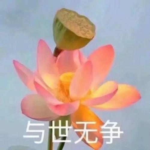 适合老年人的微信头像 适合老人头像图片大全