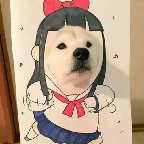 闺蜜沙雕头像 好看的闺蜜头像沙雕